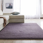 Fluffy Carpet Rugs For Bedroom/Living Room Large Size Rectangle Plush Anti-Slip Soft Carpet