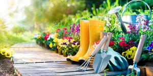 Best Sources to Buy Gardening Tools Online