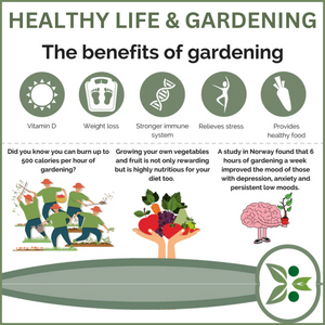 The Benefits Of Gardening For A Healthy Lifestyle