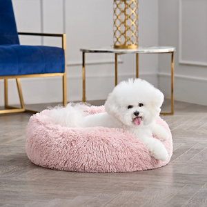 All about Best Pet Beds