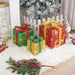 Festive Christmas Gift Box Set of 3 Decorative Indoor Lights for Holidays
