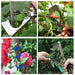 Gardening Grafting Tool for Flower and Vegetable Binding with Tape