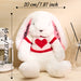 Custom Bunny Plush Toy With Sweater And Embroidered Name For Kids