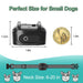 Ultrasonic USB Rechargeable Anti-Bark Training Collar for Dogs