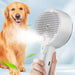 Electric Pet Spray Massage Comb With Water Mist Function For Cats And Dogs