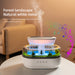 Smart Cool Mist Raindrop Air Humidifier and Oil Diffuser for Home Use