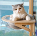 Spacecraft-Themed Cat Hammock with Wooden Frame and Suction Cup Support