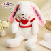 Custom Bunny Plush Toy With Sweater And Embroidered Name For Kids
