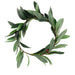 Elegant Olive Leaf Wreath with Berries and Olive Branch Headdress
