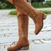Point Toe Block Heel Boots for Women – Elegant Ankle Design