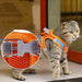 Pet Cat Dog Leash – Reflective Chest and Back Dog Harness with Anti-Loosening Design