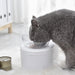 Multifunctional Pet Double Bowl - Cat & Dog Food and Water Bowls with Grain Storage