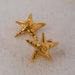 Star-Shaped Stainless Steel Stud Earrings for Women