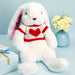 Custom Bunny Plush Toy With Sweater And Embroidered Name For Kids