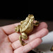 Brass Golden Money Toad Ornament – Retro Feng Shui Frog Decoration for Home or Tea Tray