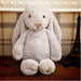 Embroidered Plush Bunny Doll with Long Ears – Soft Sleeping Toy for Babies