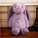 Embroidered Plush Bunny Doll with Long Ears – Soft Sleeping Toy for Babies