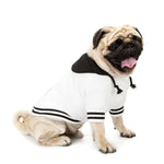 Chic Color-Matching Pet Sweater – Cozy and Stylish Dog Clothing