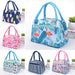 Creative Portable Thermal Bento Bag – Insulated Lunch Bag
