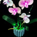 Orchid Bonsai LED Lighting Kit – Compatible with LEGO 10311 Green Plant