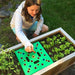 Square Seed Planting Board Gardening Vegetable Seed Spacer Tool