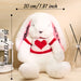 Custom Bunny Plush Toy With Sweater And Embroidered Name For Kids