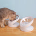 Pet Bowl with Sloping Mouth – Ergonomic Cat & Dog Feeding Bowl