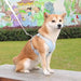 Breathable Reflective Dog Leash – Adjustable Pet Harness Vest Strap