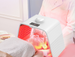 Foldable LED Photon Beauty Device With 7-Color Light Therapy And Spray Function