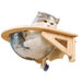 Spacecraft-Themed Cat Hammock with Wooden Frame and Suction Cup Support
