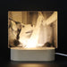 3D Laser Engraved Acrylic Night Light – Plug-In Decorative Bedside Lamp