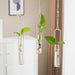 Scandinavian Style Hanging Hydroponic Glass Vase for Wall and Door Decor