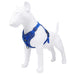 Reflective Breathable Dog Harness – Vest-Style Pet Leash with Adjustable Fit