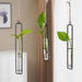 Scandinavian Style Hanging Hydroponic Glass Vase for Wall and Door Decor