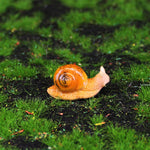 Micro Landscape Succulent Resin Snail Decor Small Ornament