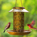 Solar-Powered Hanging Bird Feeder Lamp with Dual Feeding and Lighting Function