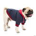 Chic Color-Matching Pet Sweater – Cozy and Stylish Dog Clothing