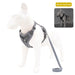 Reflective Breathable Dog Harness – Vest-Style Pet Leash with Adjustable Fit