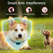Ultrasonic USB Rechargeable Anti-Bark Training Collar for Dogs