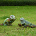 Solar Energy Lizard Resin Handicraft Decorations Garden Park Animal Decorations
