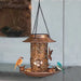 Solar-Powered Hanging Bird Feeder Lamp with Dual Feeding and Lighting Function