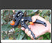 Grafting Pruning Shears – Multi-Purpose Fruit Tree Grafting Tool
