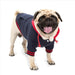 Chic Color-Matching Pet Sweater – Cozy and Stylish Dog Clothing