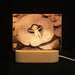 3D Laser Engraved Acrylic Night Light – Plug-In Decorative Bedside Lamp