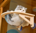 Spacecraft-Themed Cat Hammock with Wooden Frame and Suction Cup Support
