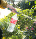 Adjustable Beverage Bottle Spray Watering Nozzle for Gardening & Plants