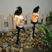 Halloween Outdoor Solar Garden Light Resin Skull Crow Decorative Light