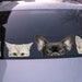 Funny 3D Cat and Dog Peeking Car Sticker – Creative Home & Vehicle Decoration