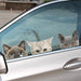 Funny 3D Cat and Dog Peeking Car Sticker – Creative Home & Vehicle Decoration