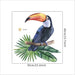 Cute Cartoon Parrot Green Planting Wall Stickers Wall Beautification Decorative Wallpaper